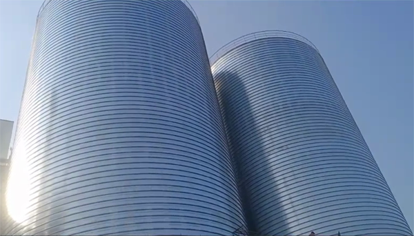 卧龙2座混凝土高架卷板仓